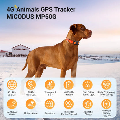 4G Animals GPS Tracker