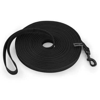 Black Dog Leash