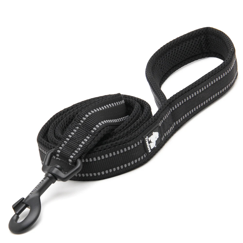 Black Nylon Dog Leash