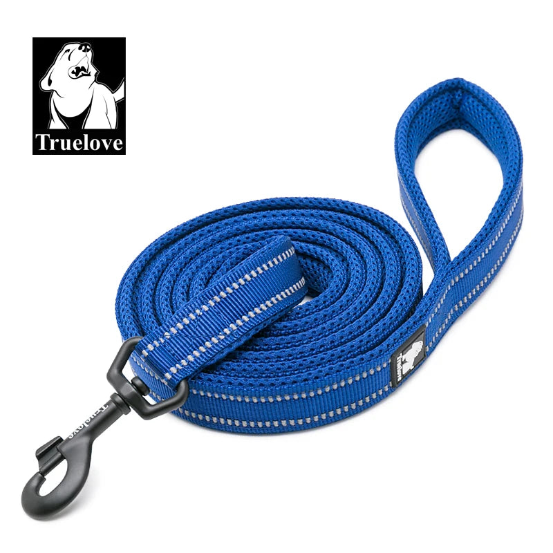 Blue Nylon Dog Leash