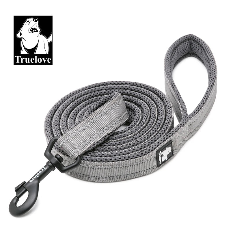 Gray Nylon Dog Leash