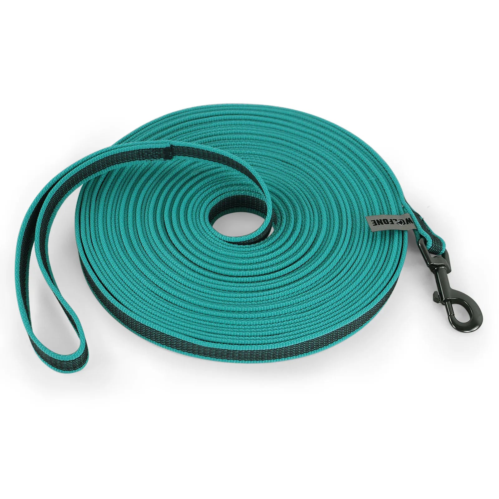 Green Dog Leash