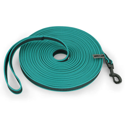 Green Dog Leash