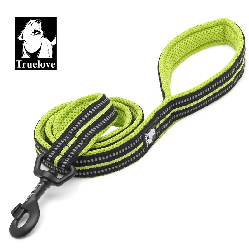 Green and Black Nylon Dog Leash