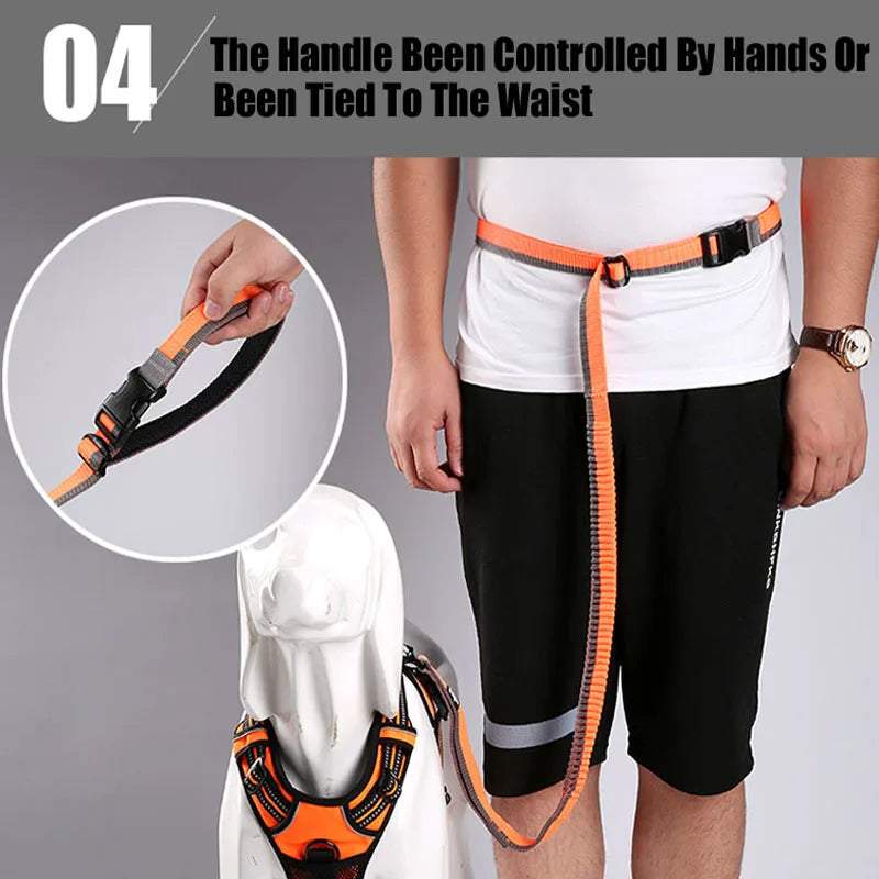 Hand Held Running Bungee Dog Leash