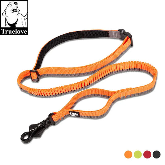 Hand Held Dog Running Bungee Leash