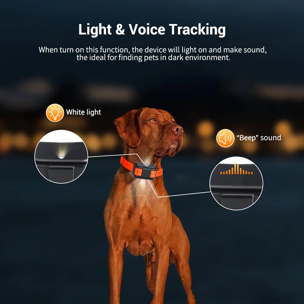 Light and Voice Tracking