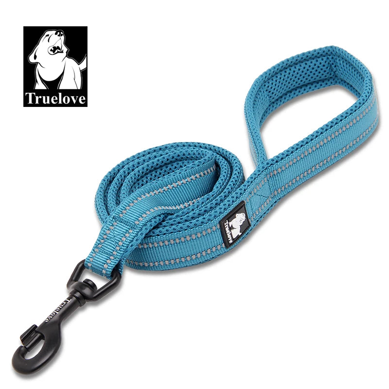 Light Blue Nylon Dog Leash