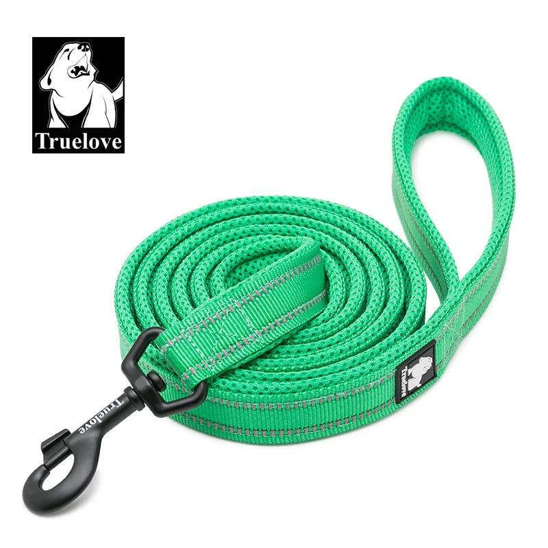 Light Green Nylon Dog Leash