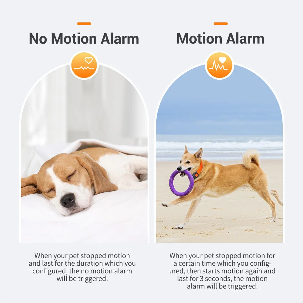 Motion Alarm