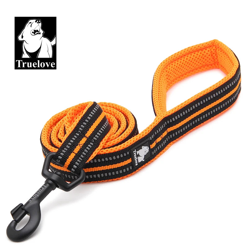 Orange Nylon Dog Leash