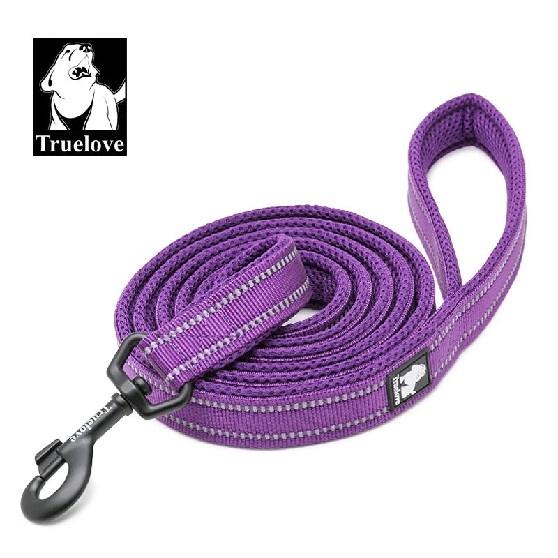 Purple Nylon Dog Leash