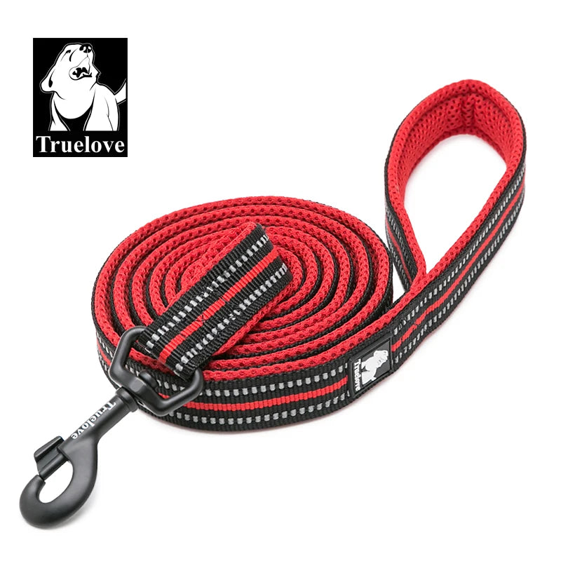 Red Nylon Dog Leash