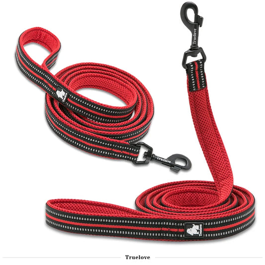 Red Nylon Dog Leash in Different Positions