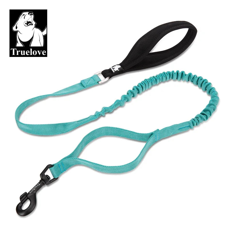 Flexible Cushion Dog Leash