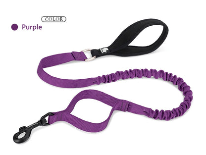 Flexible Cushion Dog Leash