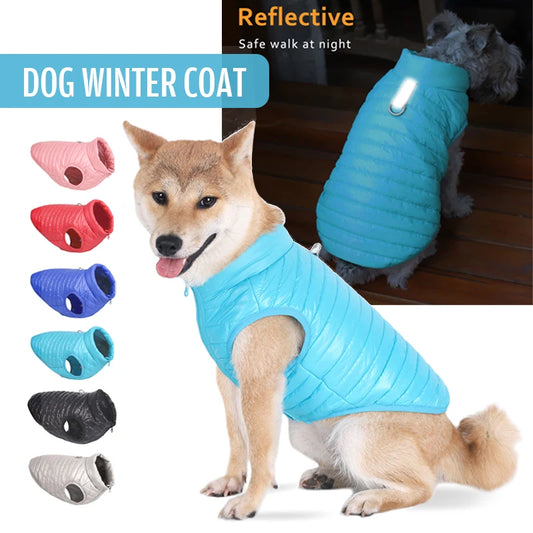 Padded Cold Weather Dog Coat