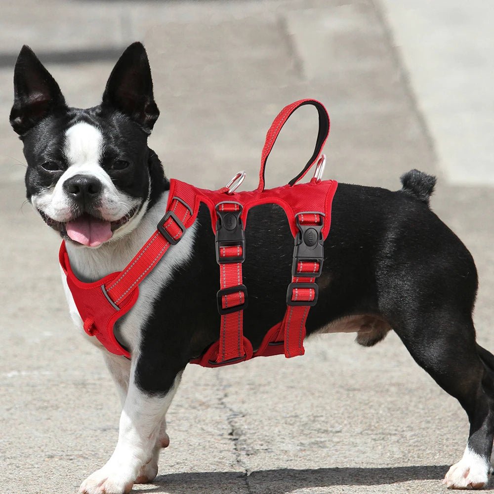 Reflective Dog Harness Vest