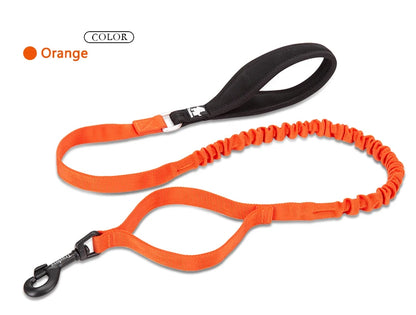 Flexible Cushion Dog Leash