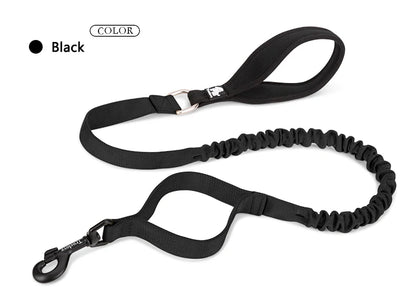 Flexible Cushion Dog Leash