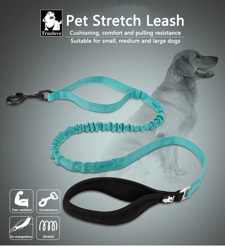 Flexible Cushion Dog Leash