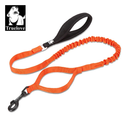 Flexible Cushion Dog Leash