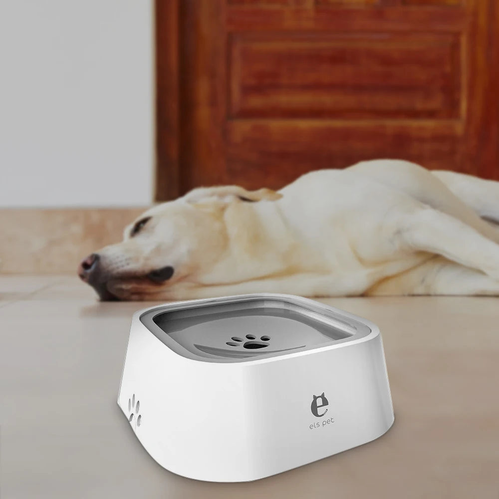 Sleeping Dog Next to Water Bowl