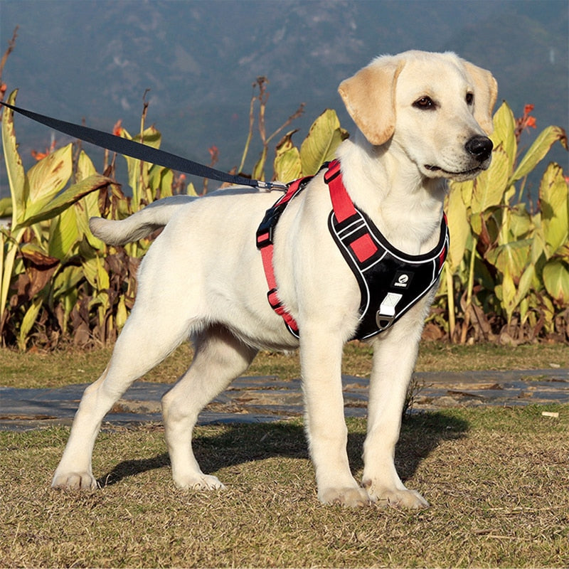 Reflective Dog Harness Vest